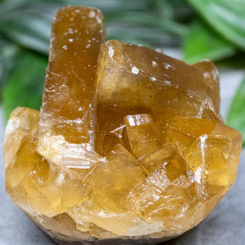 Golden Barite on Fluorite #3