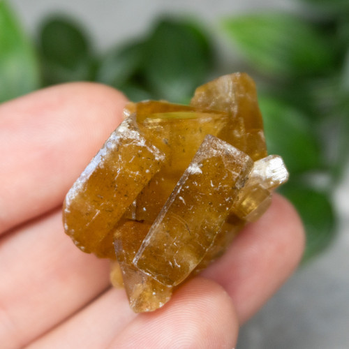 Golden Barite on Fluorite #1