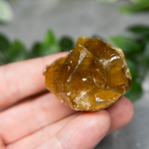 Golden Barite on Fluorite #3