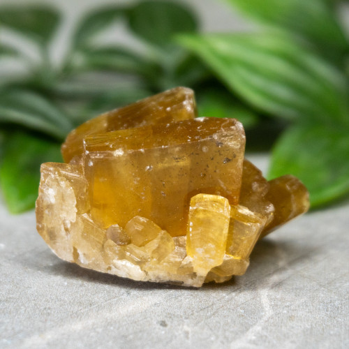 Golden Barite on Fluorite #1