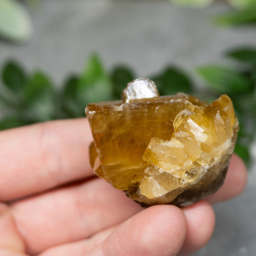 Golden Barite on Fluorite #3