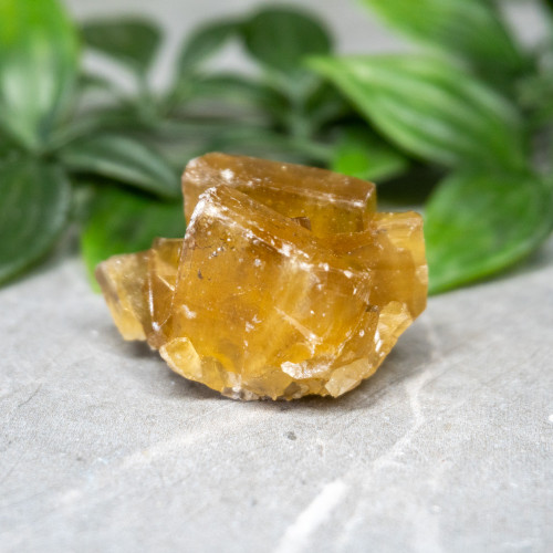 Golden Barite on Fluorite #1