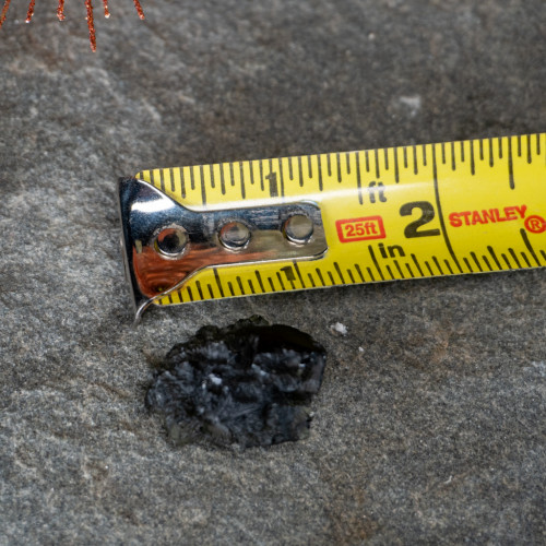 A Grade Moldavite #17 (8.7 grams)
