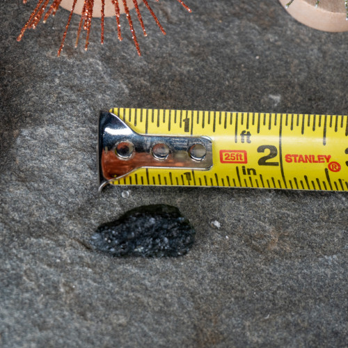 A Grade Moldavite #22 (4.9 grams)
