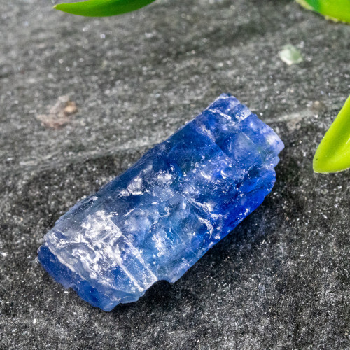 Blue Halite #15