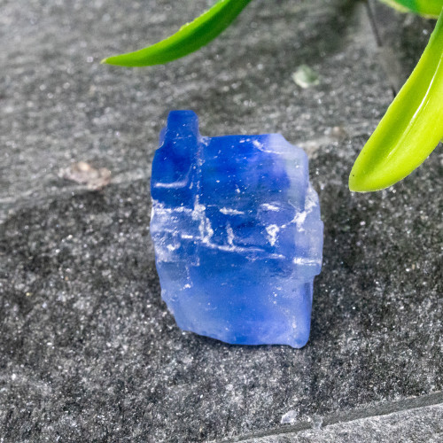 Blue Halite #13
