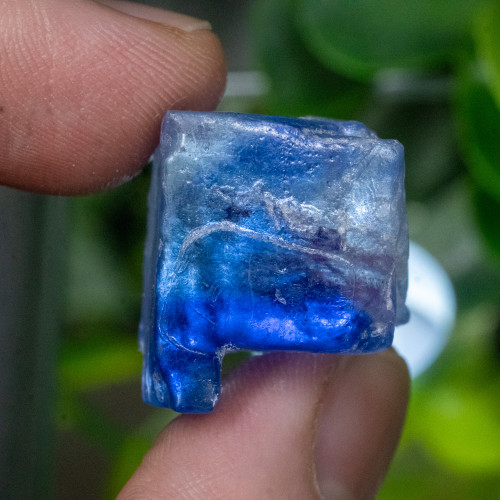 Blue Halite #13