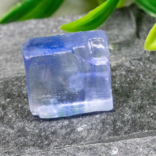 Blue Halite #5