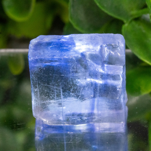 Blue Halite #5
