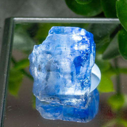 Blue Halite #1