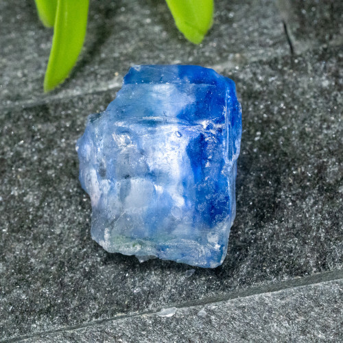 Blue Halite #1