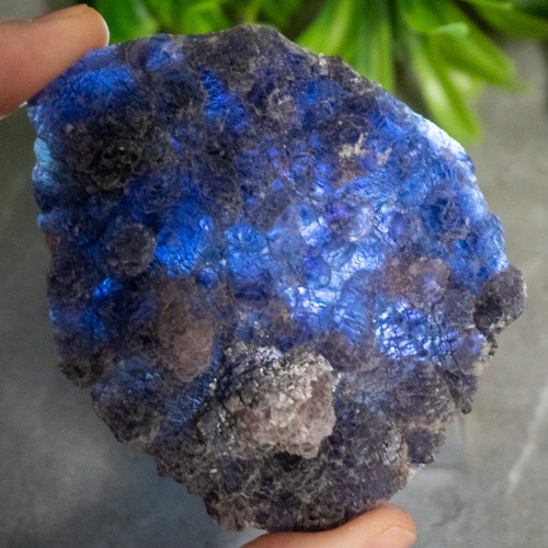 Purple Fluorite with Colorless Fluorite #4