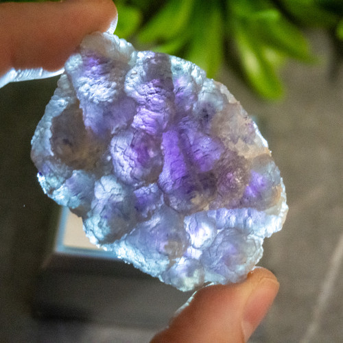 Purple & Green Fluorite With Colorless Fluorite #3