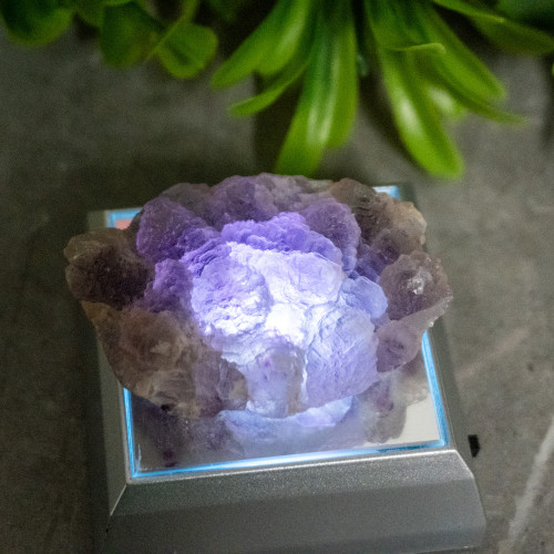 Purple & Green Fluorite With Colorless Fluorite #3