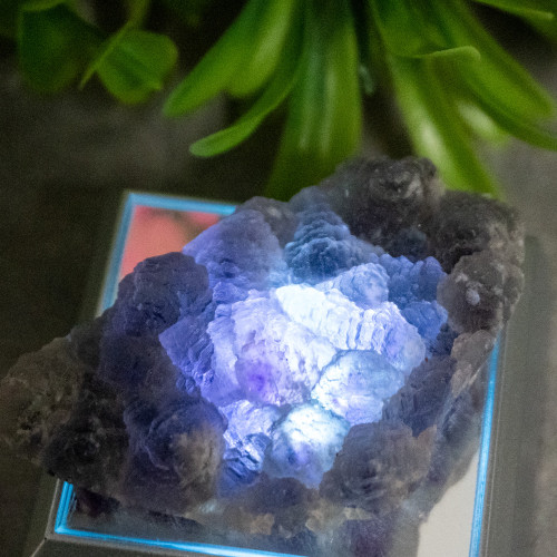 Purple & Green Fluorite With Colorless Fluorite #2