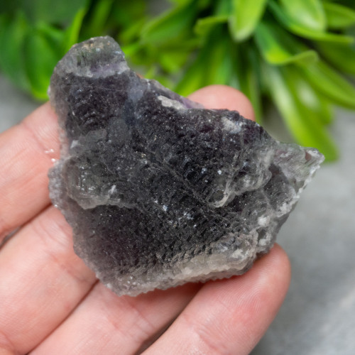 Purple & Green Fluorite With Colorless Fluorite #1