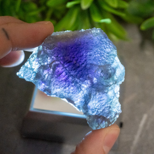 Purple & Green Fluorite With Colorless Fluorite #1