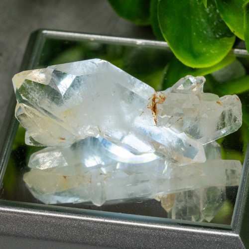 Faden Quartz #30
