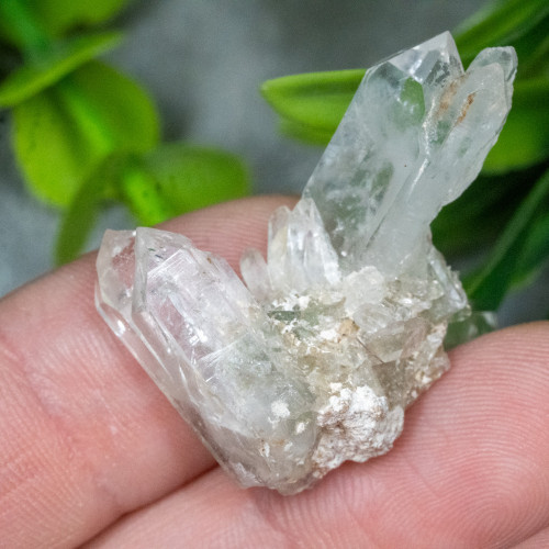 Faden Quartz #27