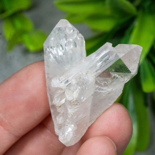 Faden Quartz #25