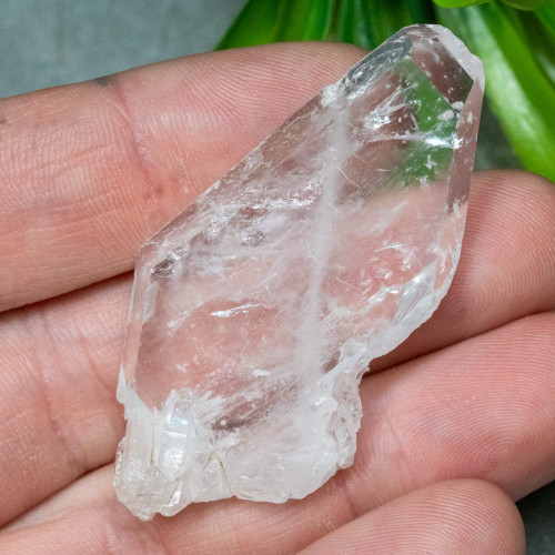 Faden Quartz #23