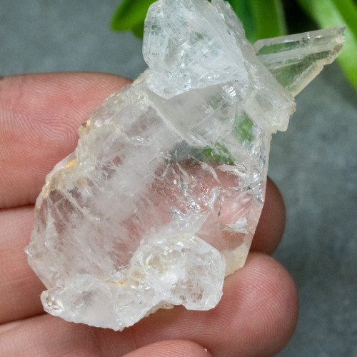 Faden Quartz #22