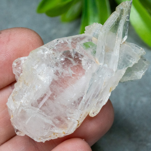 Faden Quartz #22
