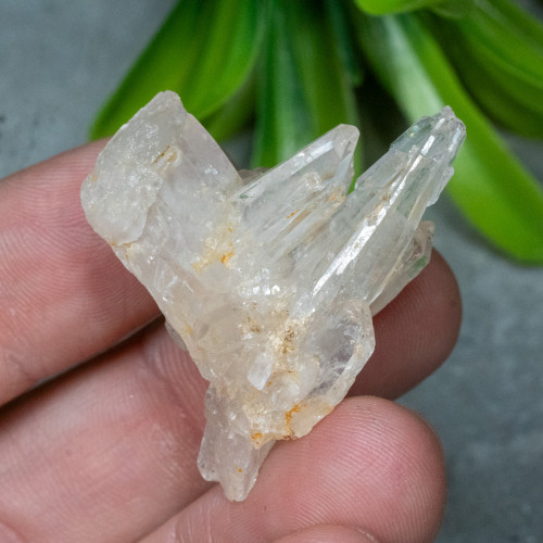 Faden Quartz #21