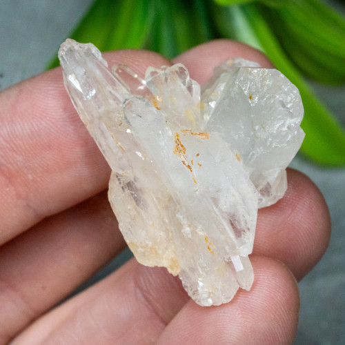 Faden Quartz #21
