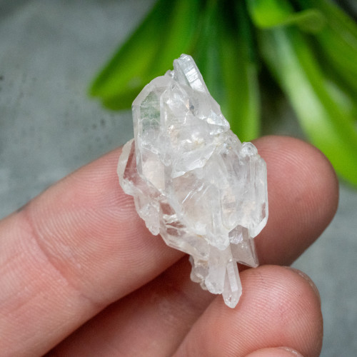 Faden Quartz #19