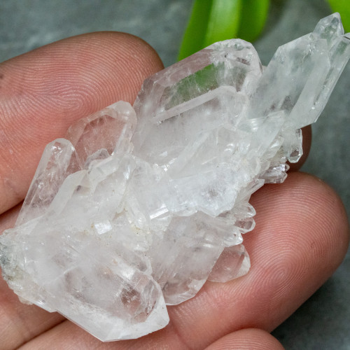 Faden Quartz #18