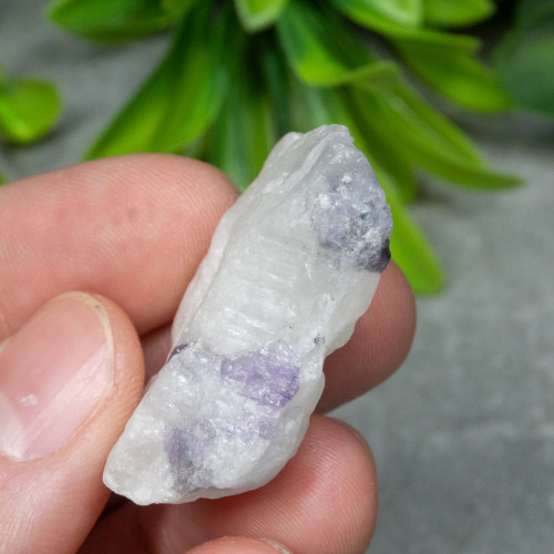 Purple Scapolite #12
