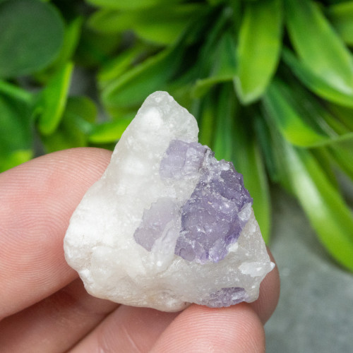 Purple Scapolite #2
