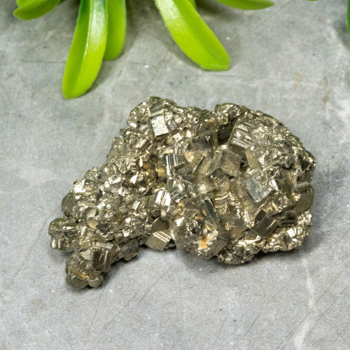 Pyrite #14