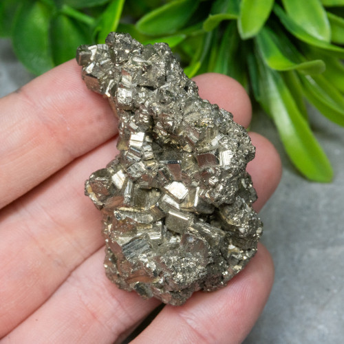 Pyrite #14
