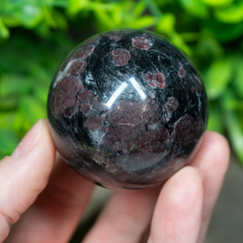 Garnet in Arfvedsonite Sphere #3