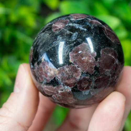Garnet in Arfvedsonite Sphere #1