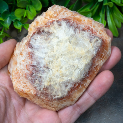 Fire Mountain Calcite #10