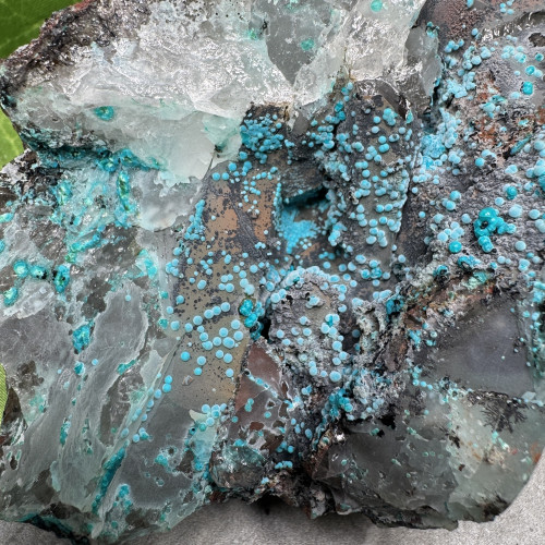 XL Quantum Quattro #2