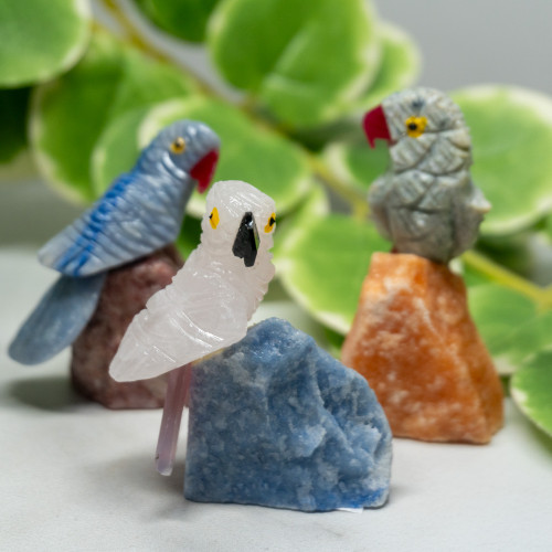 Crystal Bird on Crystal Matrix Random