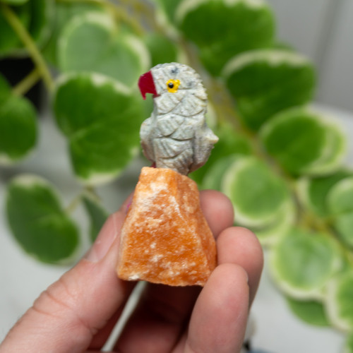 Crystal Bird on Crystal Matrix Random