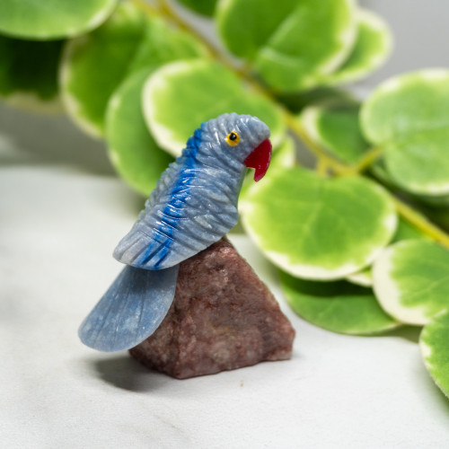 Crystal Bird on Crystal Matrix Random