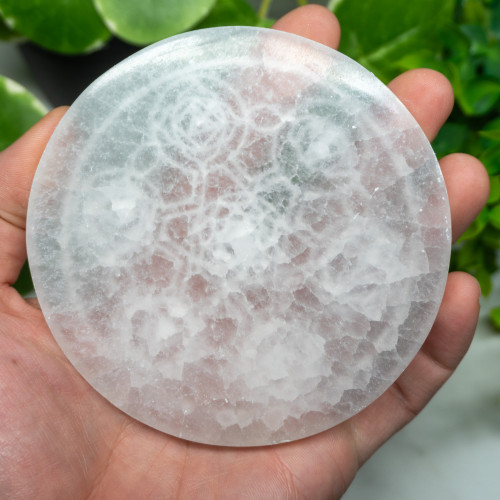 Selenite Chakra Plate Large