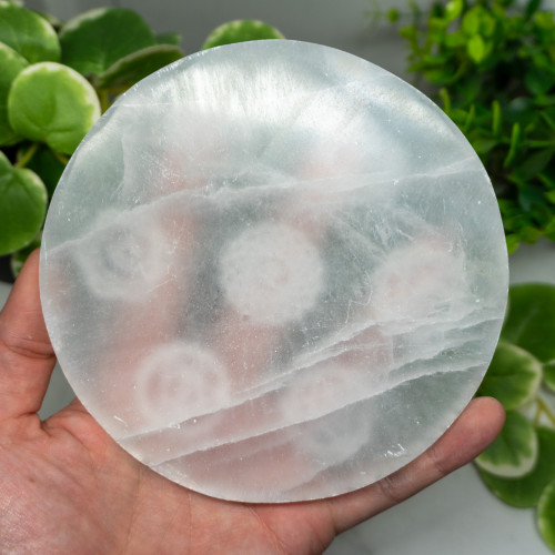 Selenite Zodiac Plate Large