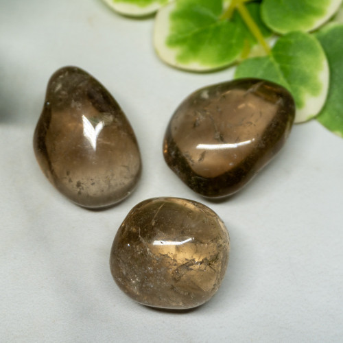 Smoky Quartz XL Tumbled