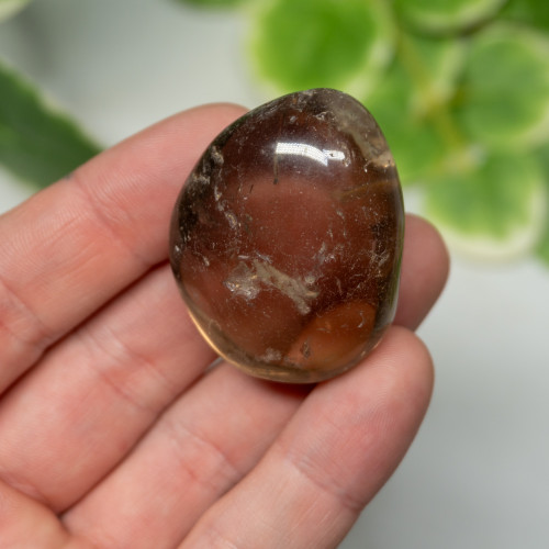 Smoky Quartz XL Tumbled