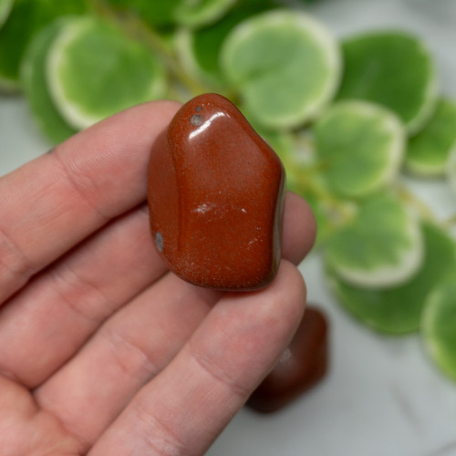 Red Jasper XL Tumbled