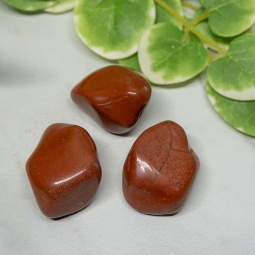 Red Jasper XL Tumbled
