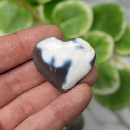 Orca Agate Small Heart