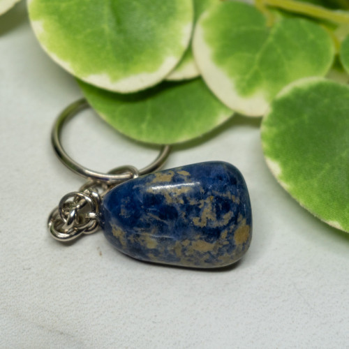 Sodalite Polished Keychain